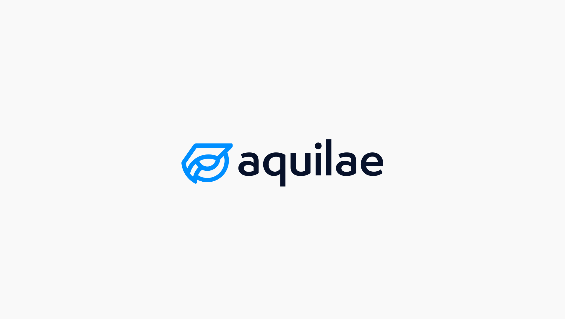 Aquilae B2B Healthtech brand identity design project — Aguila Studio
