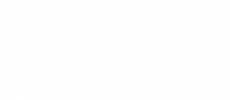 CAPTVEIND logo