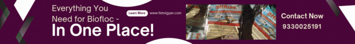 Everything You  Need for Biofloc -In One Place! in fish vigyan