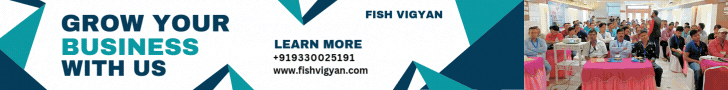 grow your business with us