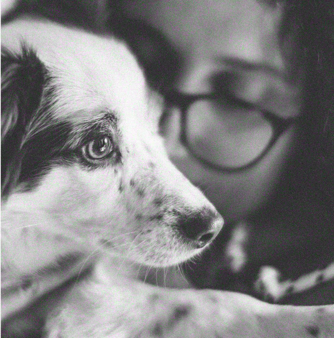 un chien est assis sur les genoux d’une femme qui porte des lunettes.