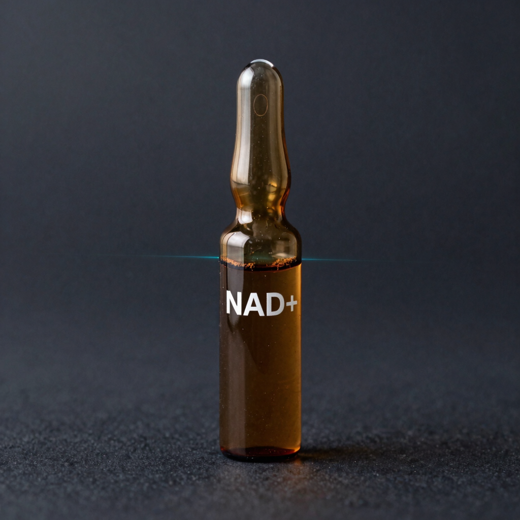 NAD+ 500mg - Coenzima Liofilizada