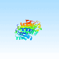 Alcohol Dehydrogenase