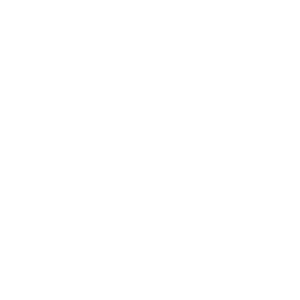 Tayyab Khan logo