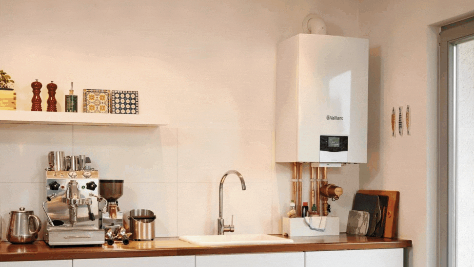 white and black cat on white radiator heater