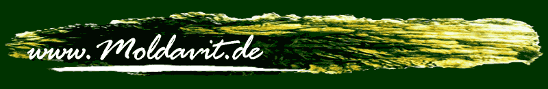 www.moldavit.de