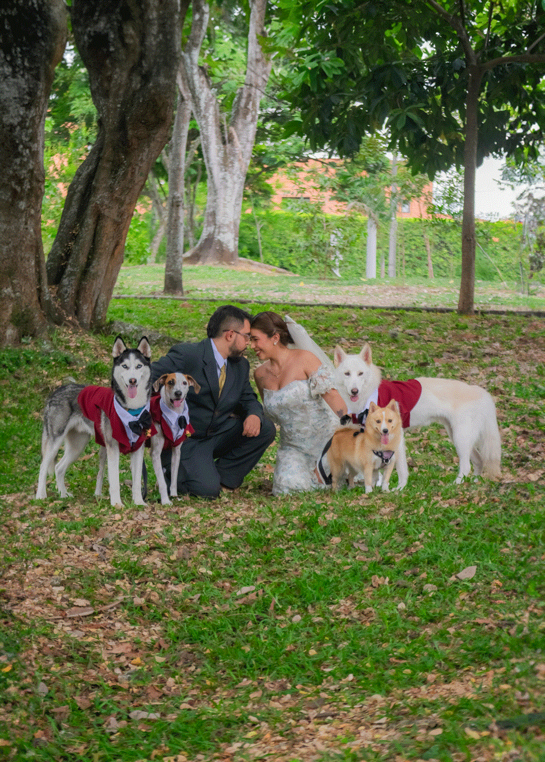 Recién casados junto a sus 4 perritos, capturando un momento de amor familiar y alegría en su boda.