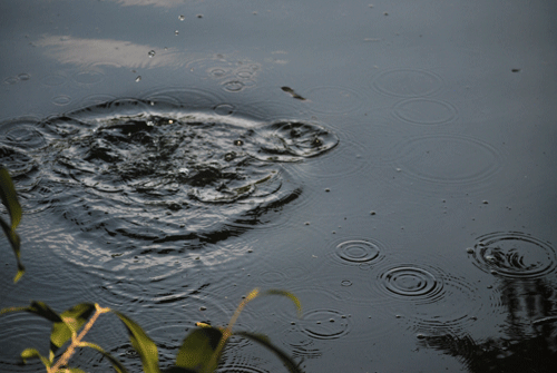 Gotas de agua cayendo sobre un lago, capturadas en el instante de su caída, creando un efecto de serenidad.