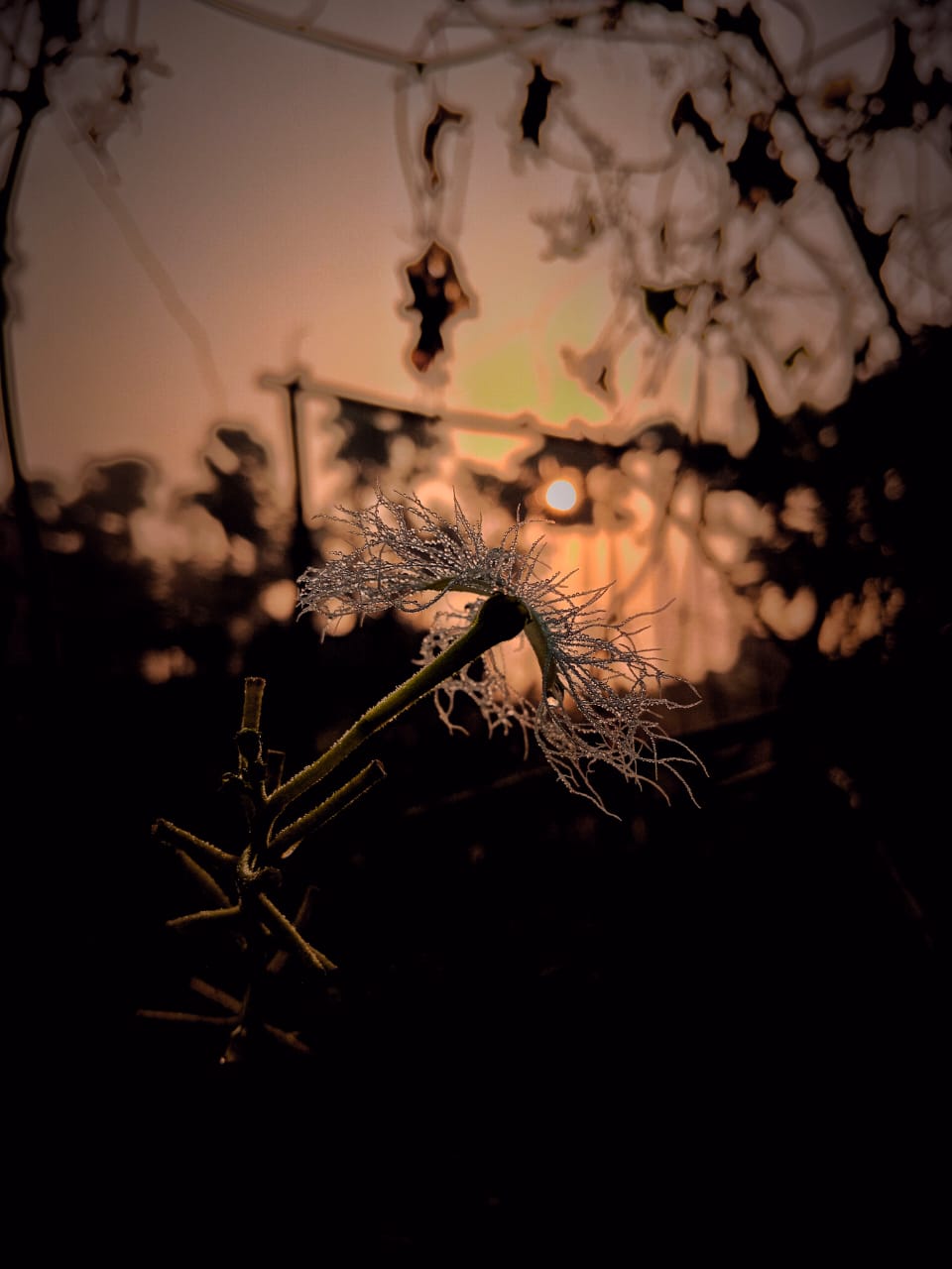 Best click above the nature