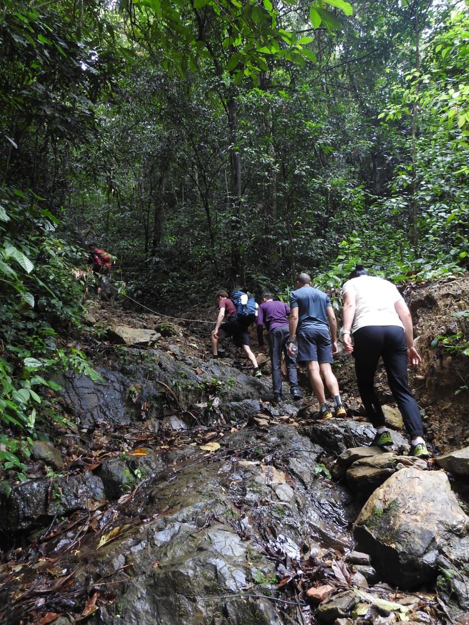 Riverside Camping in Gunung Leuser