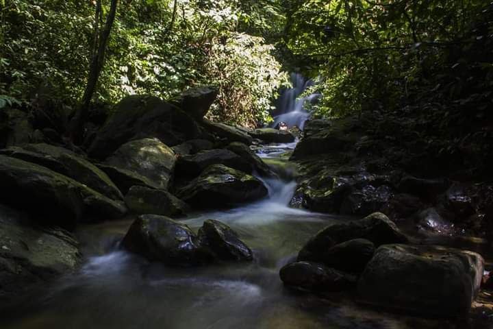 Camping in Gunung Leuser