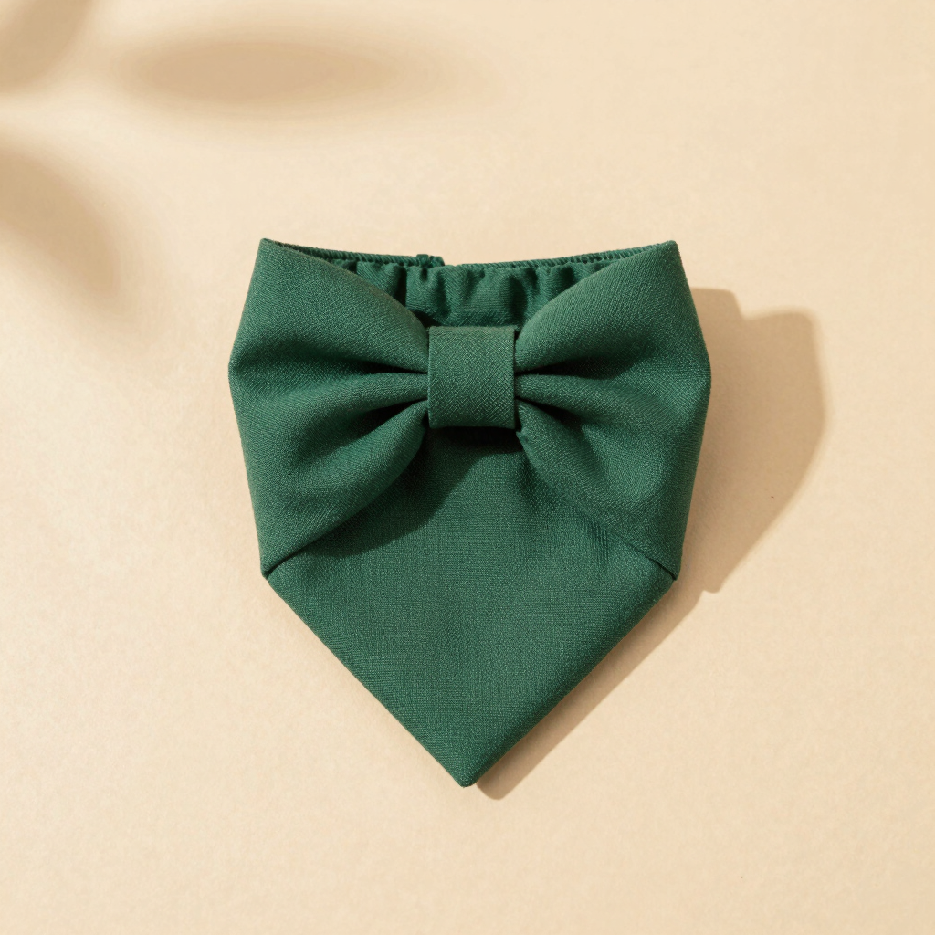 Moño Coqueto de Gala