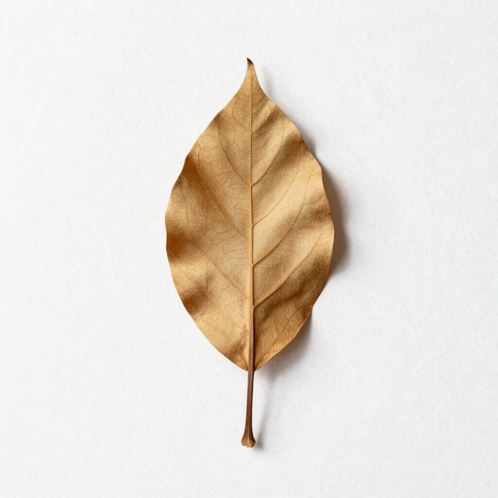 Grief & Life Transitions Counseling
