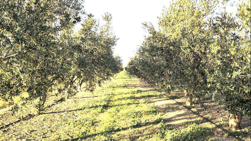 black blue and yellow textile