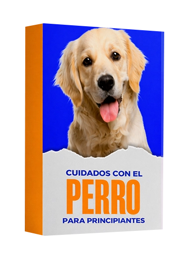 Cuidados con el perro para principiantes