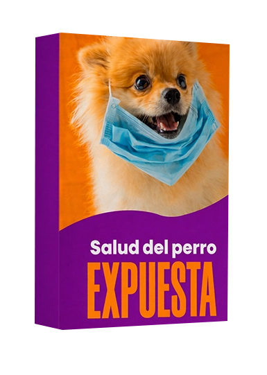 La salud del perro al descubierto