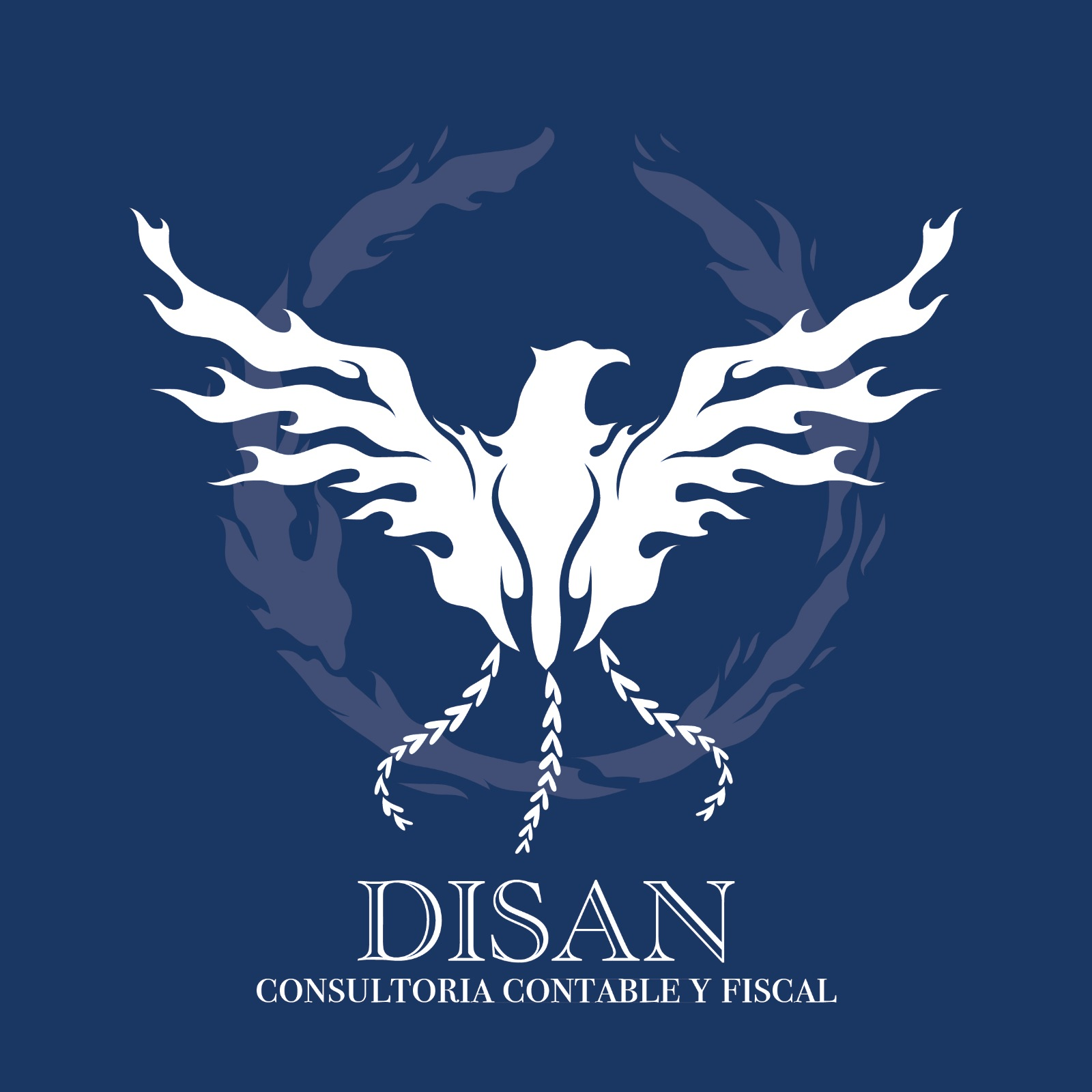 Disan consultoria contable y fiscal logo