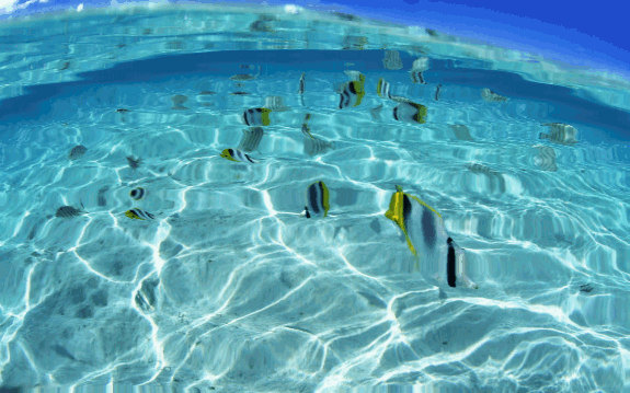 black blue and yellow textile