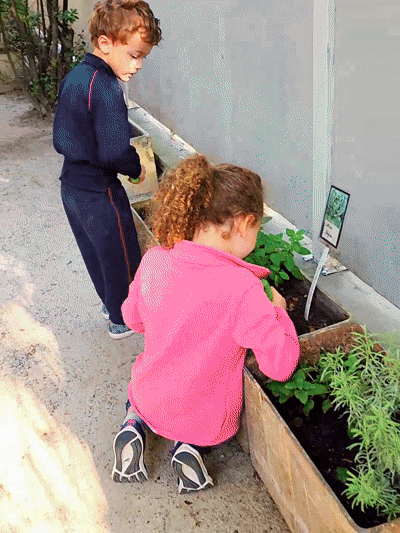 educacao-infantil-bilingue-pinheiros