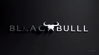 BLACKBULL CHAMBER OF INVESTMENT logo