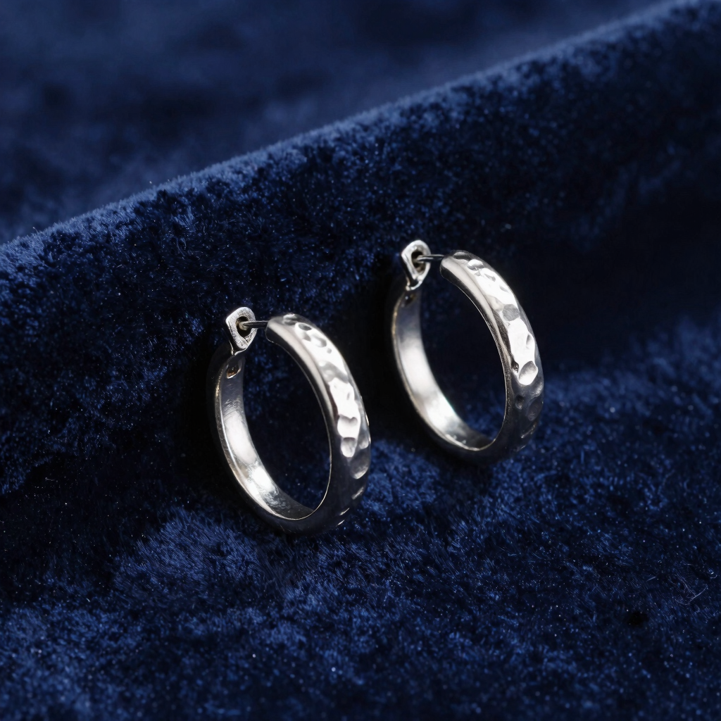 Arracadas Eclipse de Plata