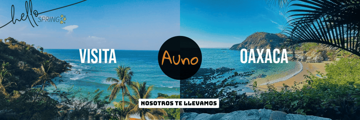 Banner publicitario de agencia local en puerto escondido