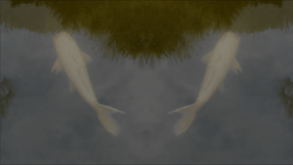 Oliver MK Koi Fish and girl spinning