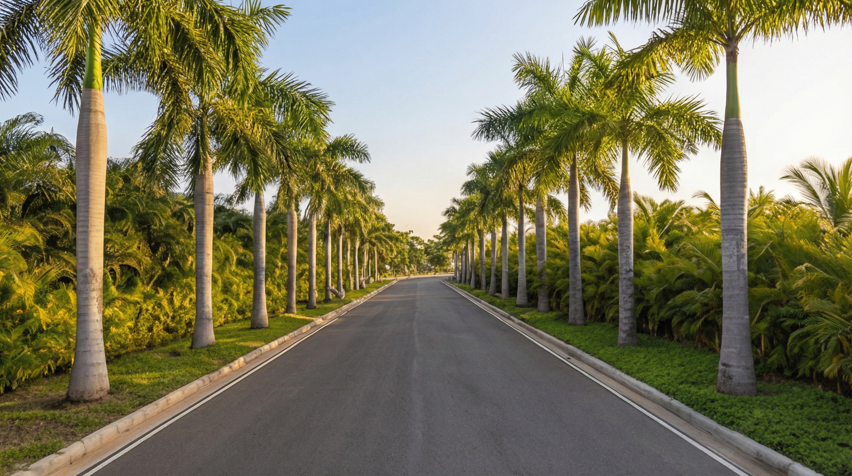 Potager - Terra Immo Majunga
