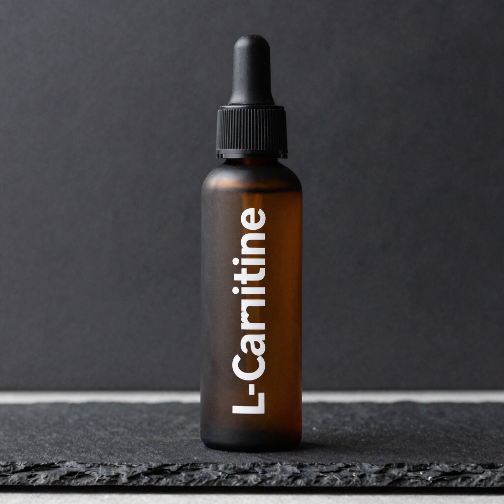 L-Carnitine Liquid Concentrate 3000