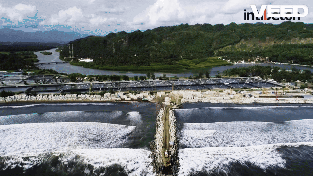 black and white bed linen