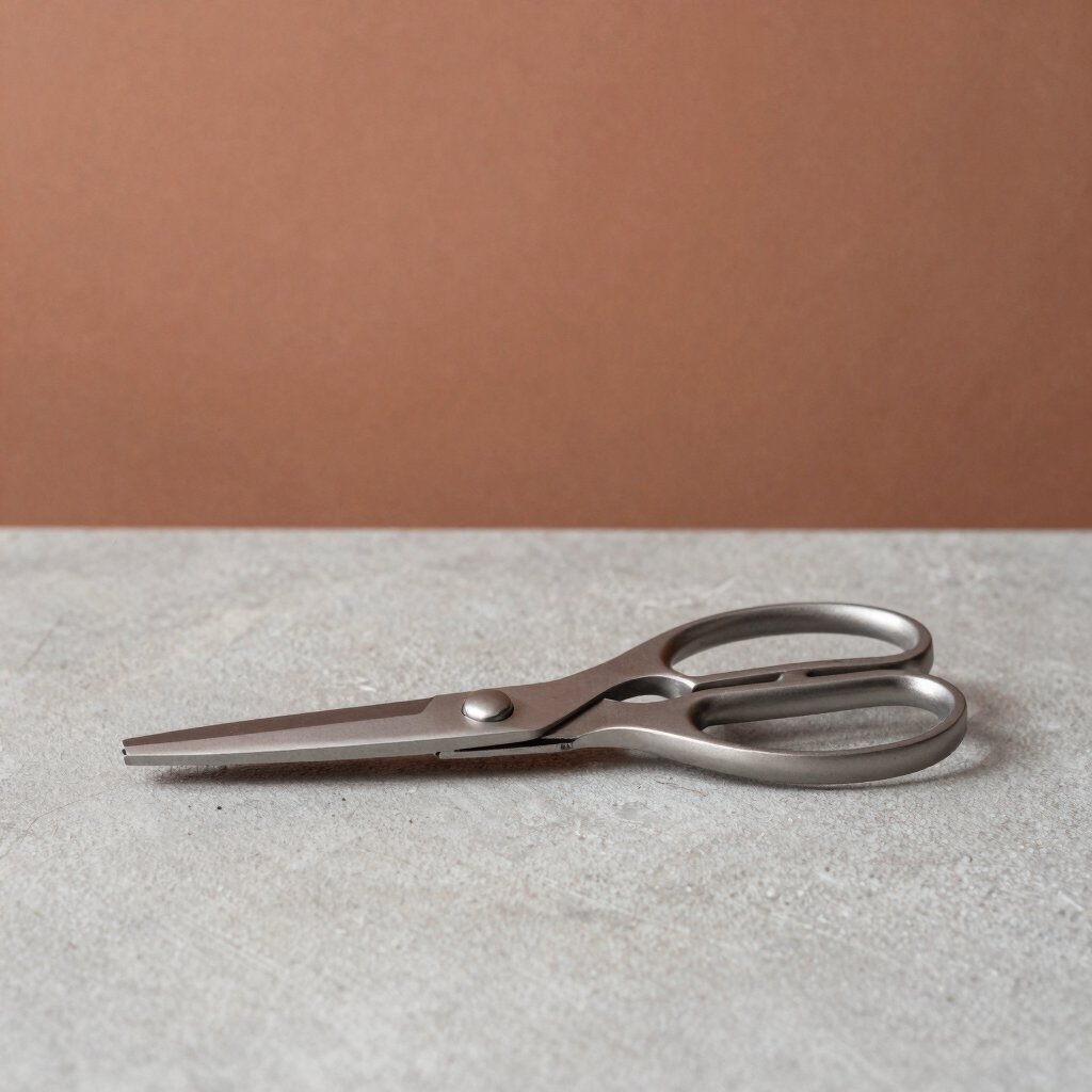 Minimalist Kitchen Shears