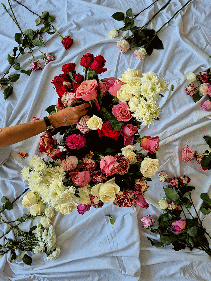 Selección de las mejores Rosas y Margaritas frescas en la Coruña 