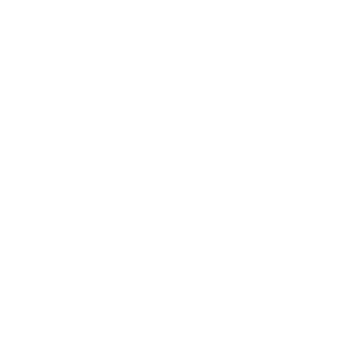 DLR Desarrollos logo