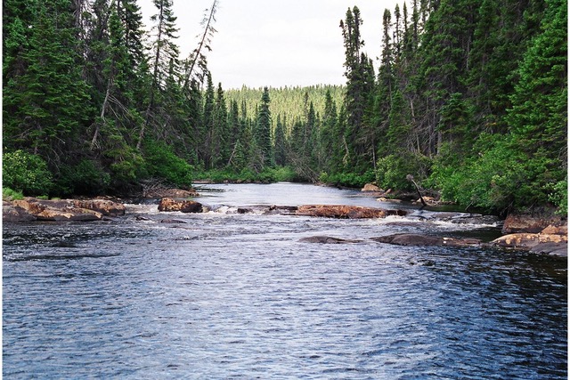 Les Entreprises DU Lac Perdu — photo 2