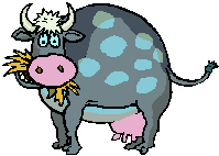 cow inek