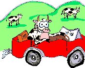 cow