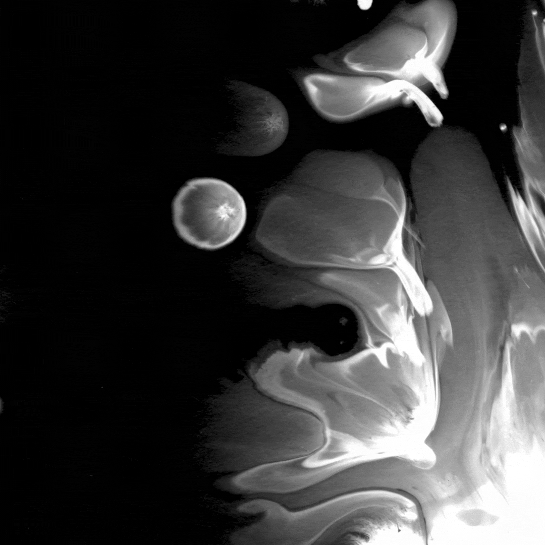 black and white bed linen