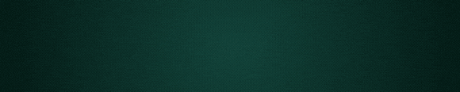 rolexdaytona logo