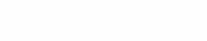 Urban Pest Control Pvt. Ltd. logo