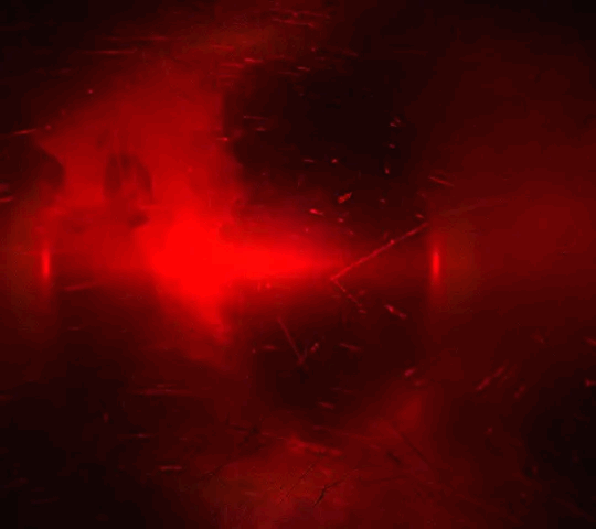 closeup photography of red cherry