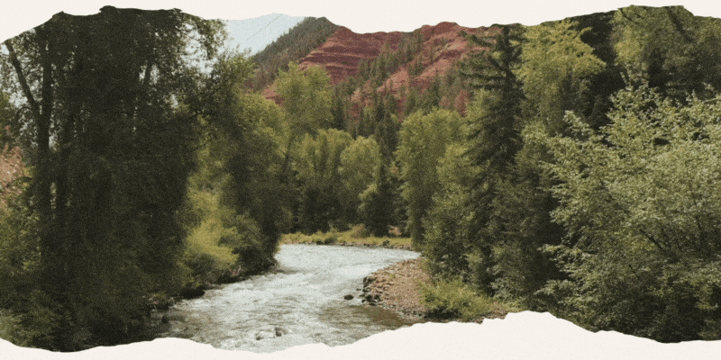 black blue and yellow textile