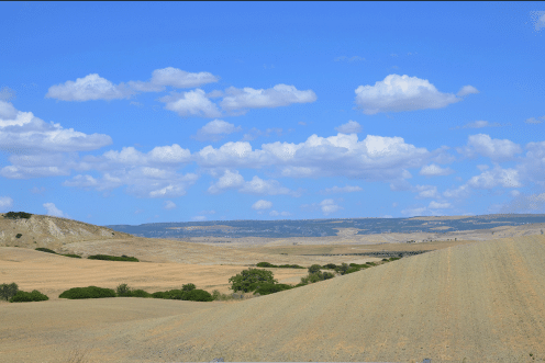 basilicata-campagna