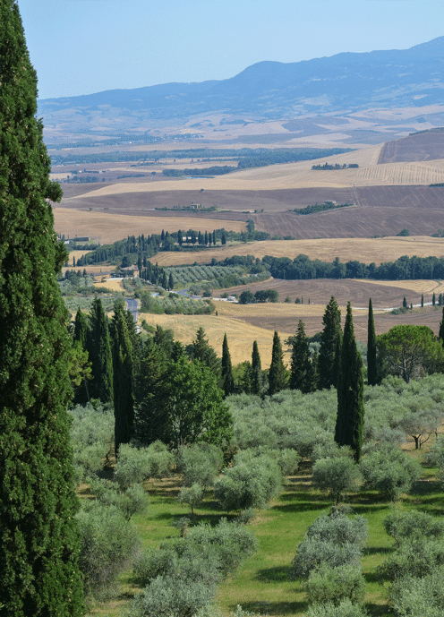 Pienza