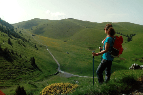 Pizzo formico