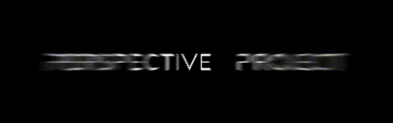 Perspective Project logo