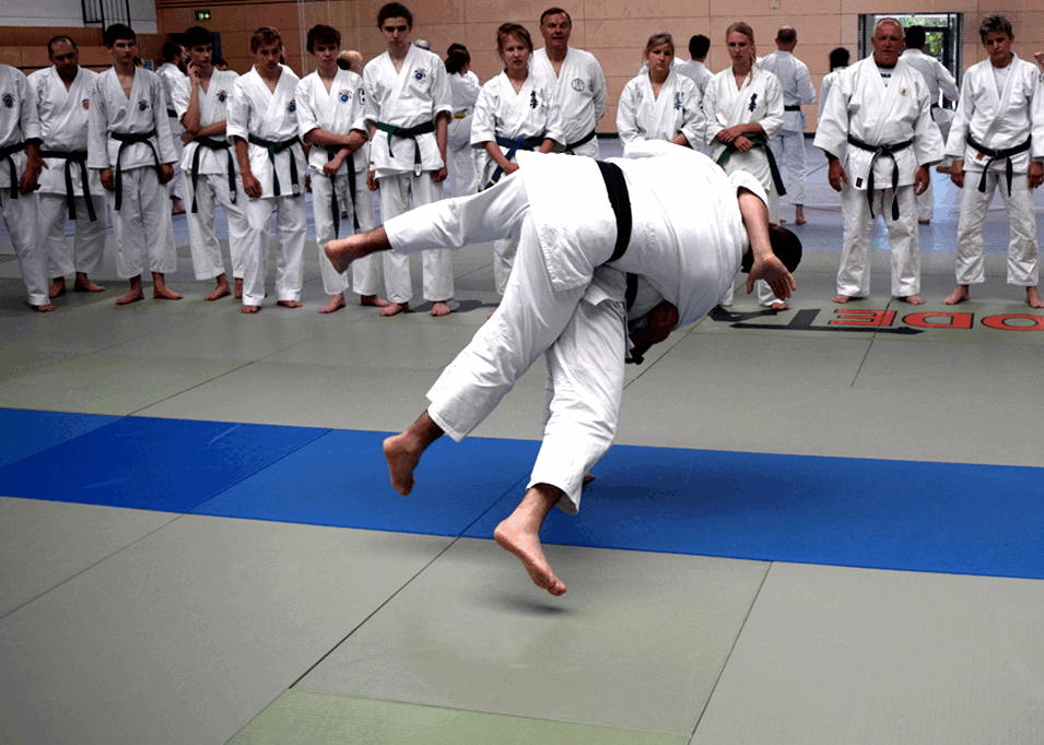 Jiushin Kan Malta | Jiu-Jitsu | Martial Arts