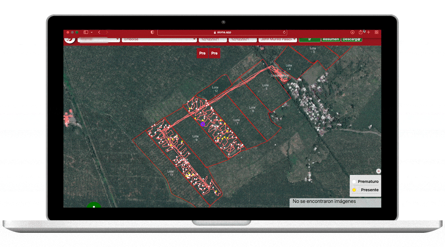 Mapa de recorrido en campo con gps