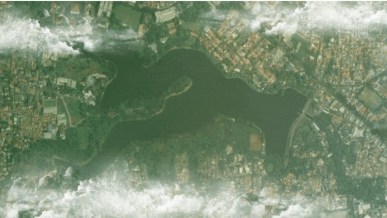 black and brown leather padded tub sofa