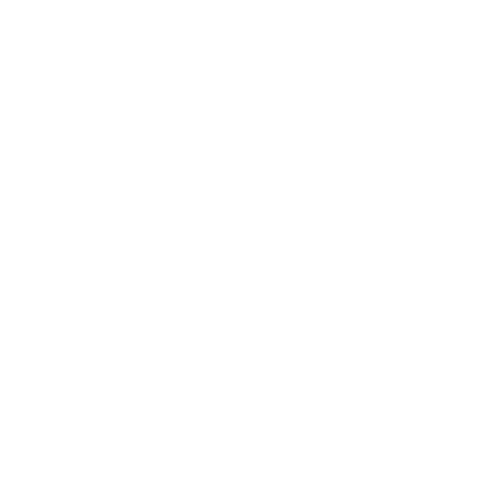 Icône téléphone