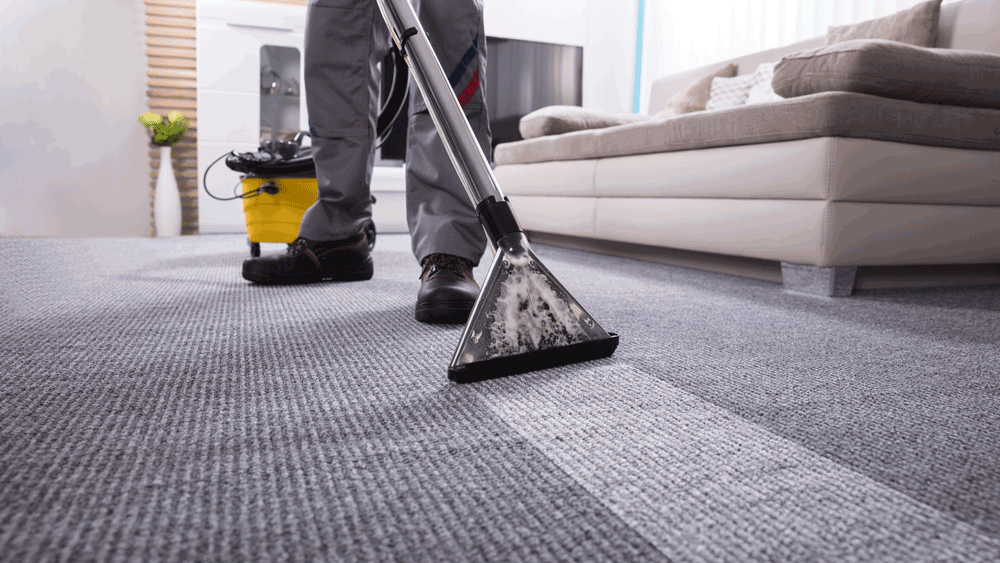 Professional carpet cleaning service using a steam vacuum cleaner to remove stains from a living room rug.